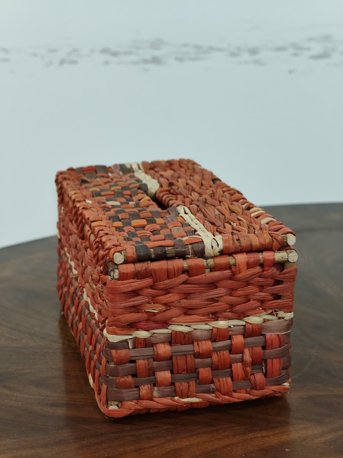 Water Reed Tissue Box (Brown & Orange Color)