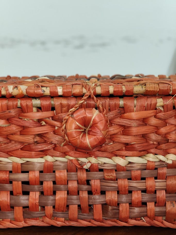 Water Reed Tissue Box (Brown & Orange Color)